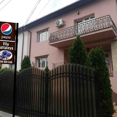 מלון Târgu Jiu Casa Cattleya מראה חיצוני תמונה