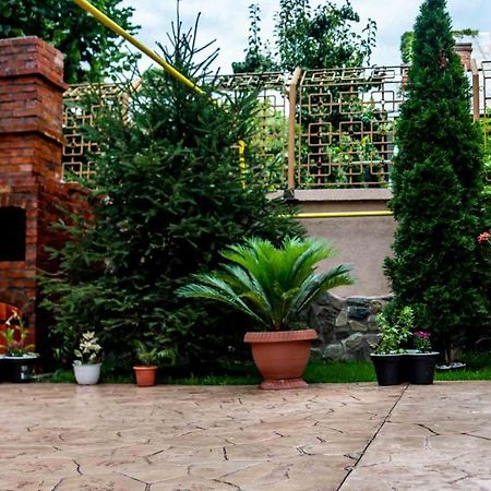 מלון Târgu Jiu Casa Cattleya מראה חיצוני תמונה