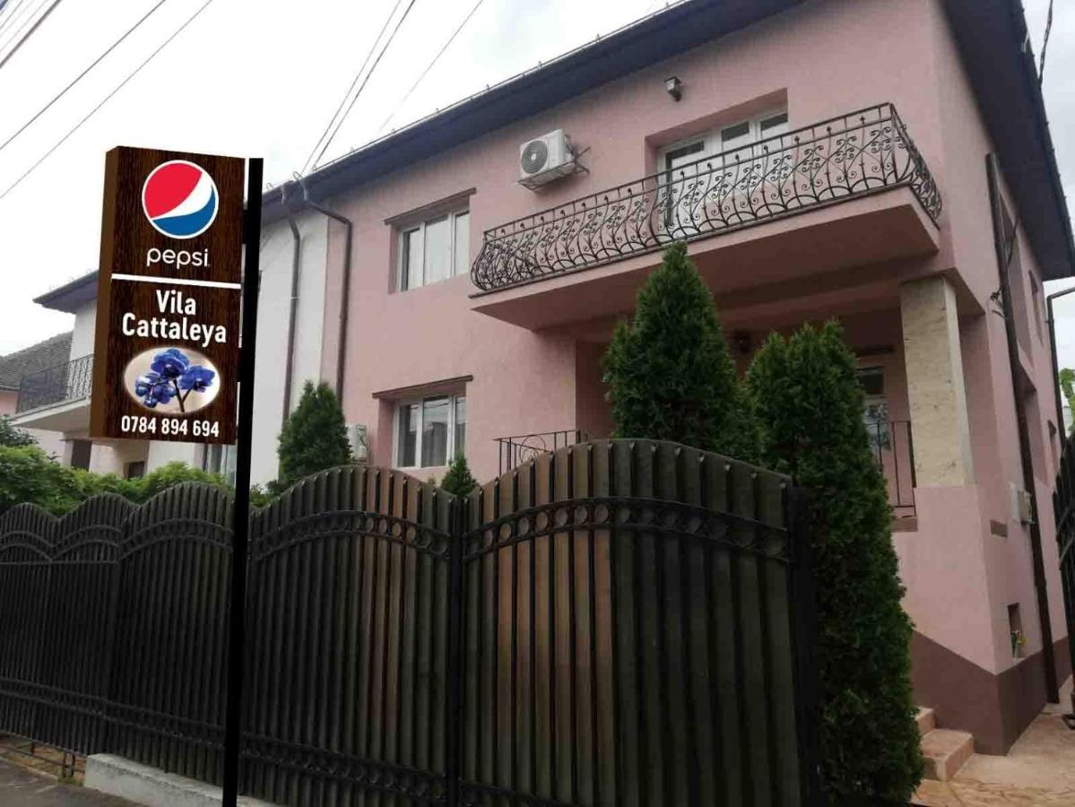 מלון Târgu Jiu Casa Cattleya מראה חיצוני תמונה