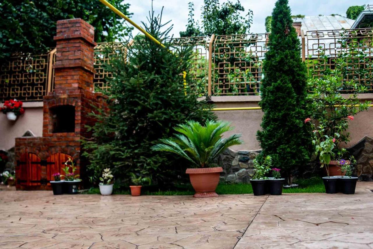מלון Târgu Jiu Casa Cattleya מראה חיצוני תמונה