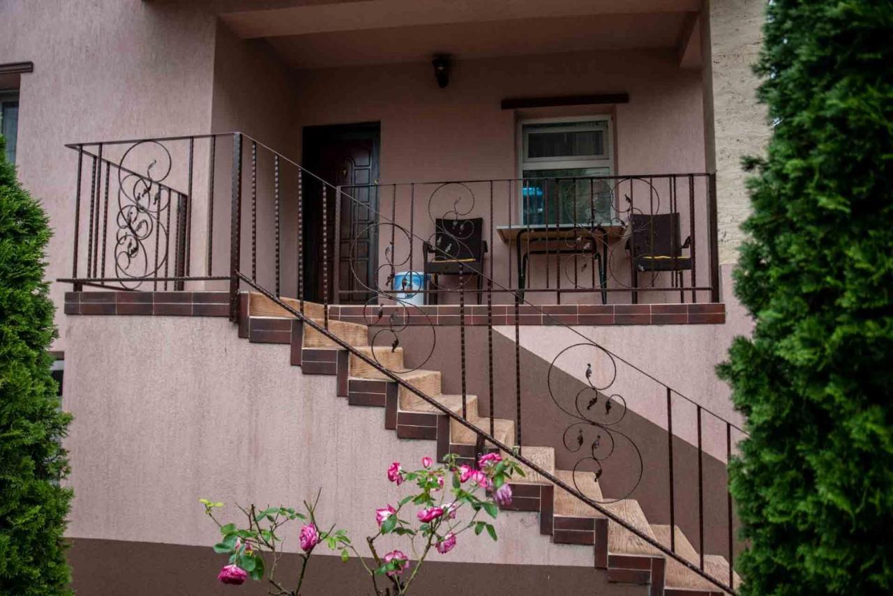 מלון Târgu Jiu Casa Cattleya מראה חיצוני תמונה