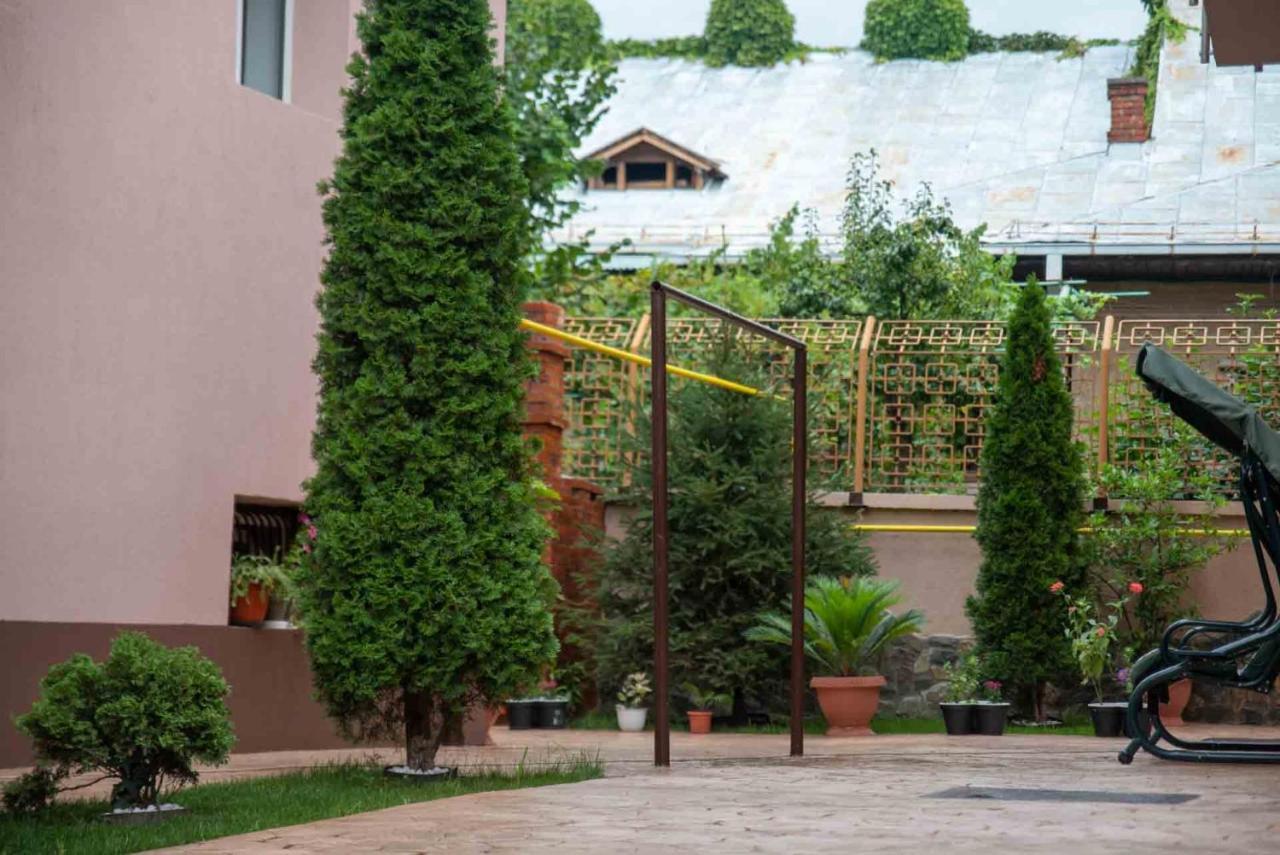 מלון Târgu Jiu Casa Cattleya מראה חיצוני תמונה